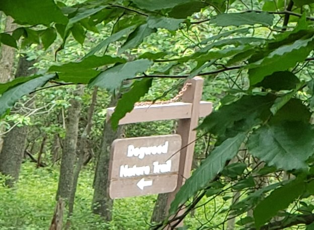 'Dogwood Nature Trail' sign seen through leaves
 in Greenbelt Park